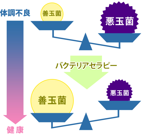 腸内細菌・口腔細菌と全身疾患 (バイオテクノロジー)の+urbandrive.co.ke